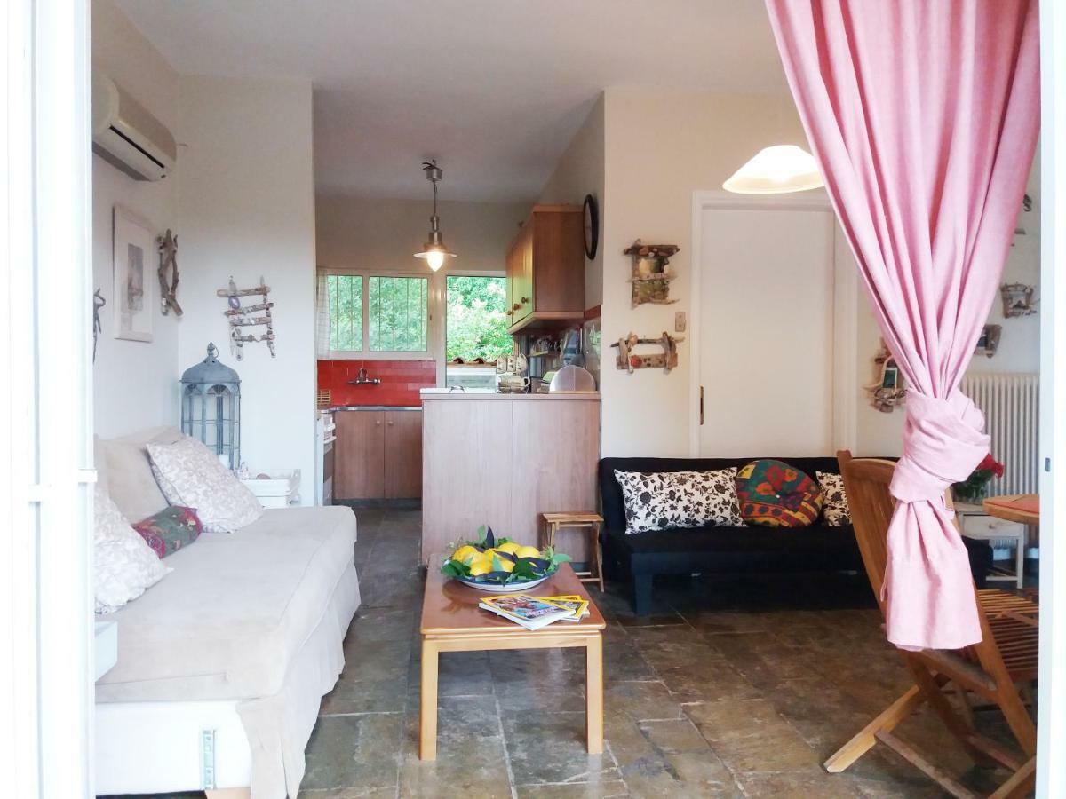 Holiday home Alkyon - Dreamy 3br, Pool & Bbq Next To Varnavas *