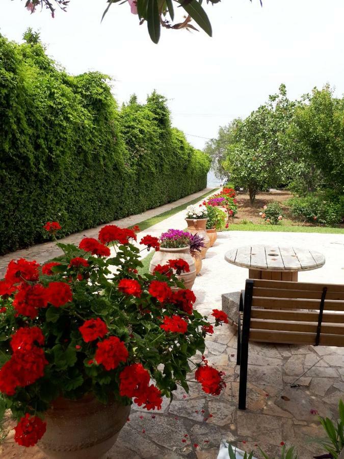 Alkyon - Dreamy 3br, Pool & Bbq Next To Varnavas * Grammatiko