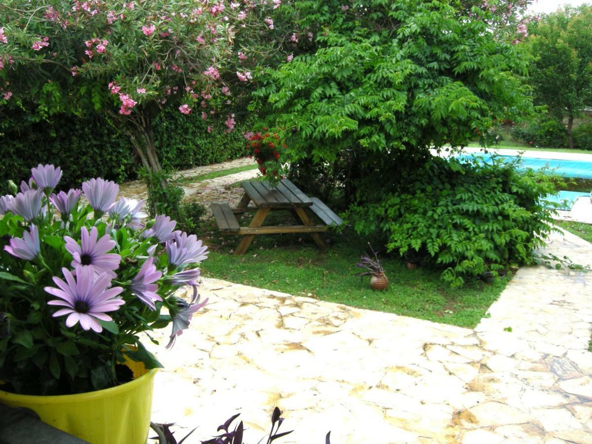 Alkyon - Dreamy 3br, Pool & Bbq Next To Varnavas Holiday home