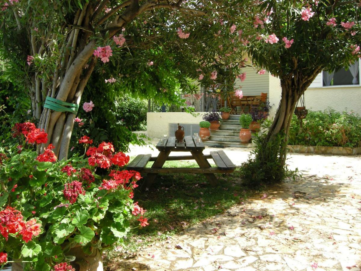 Alkyon - Dreamy 3br, Pool & Bbq Next To Varnavas Holiday home