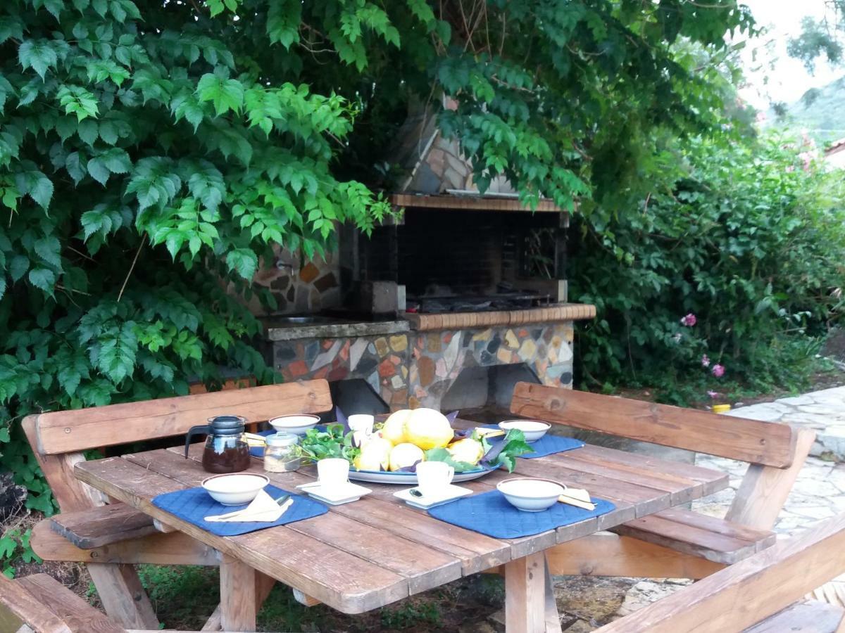 Holiday home Alkyon - Dreamy 3br, Pool & Bbq Next To Varnavas *