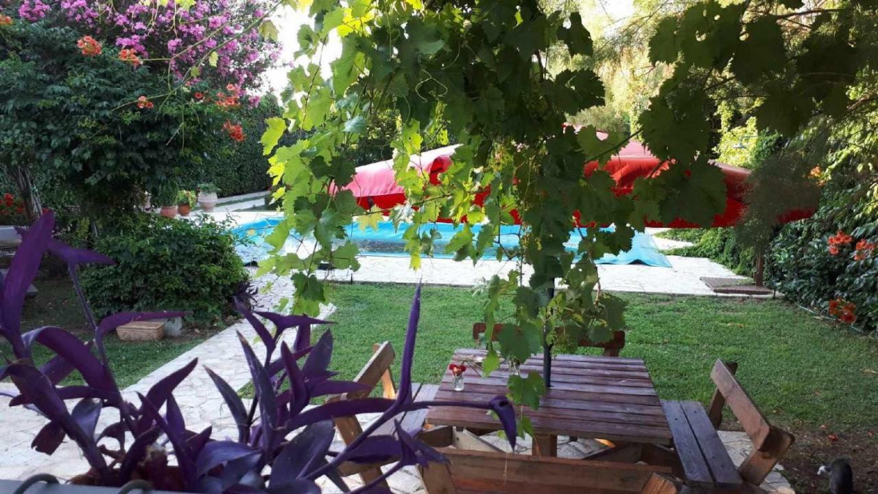 Holiday home Alkyon - Dreamy 3br, Pool & Bbq Next To Varnavas Grammatiko