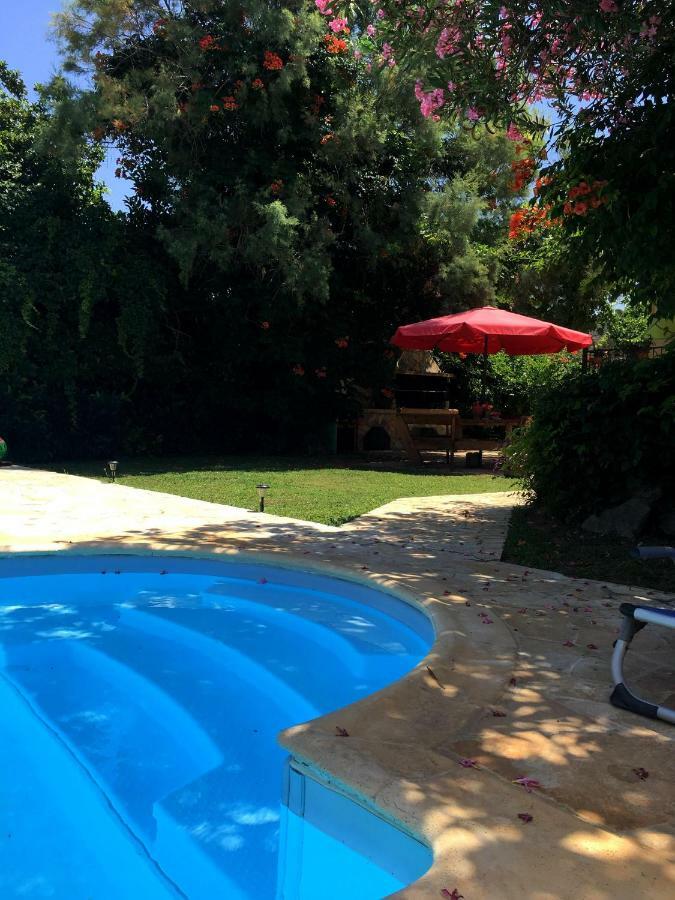 Holiday home Alkyon - Dreamy 3br, Pool & Bbq Next To Varnavas