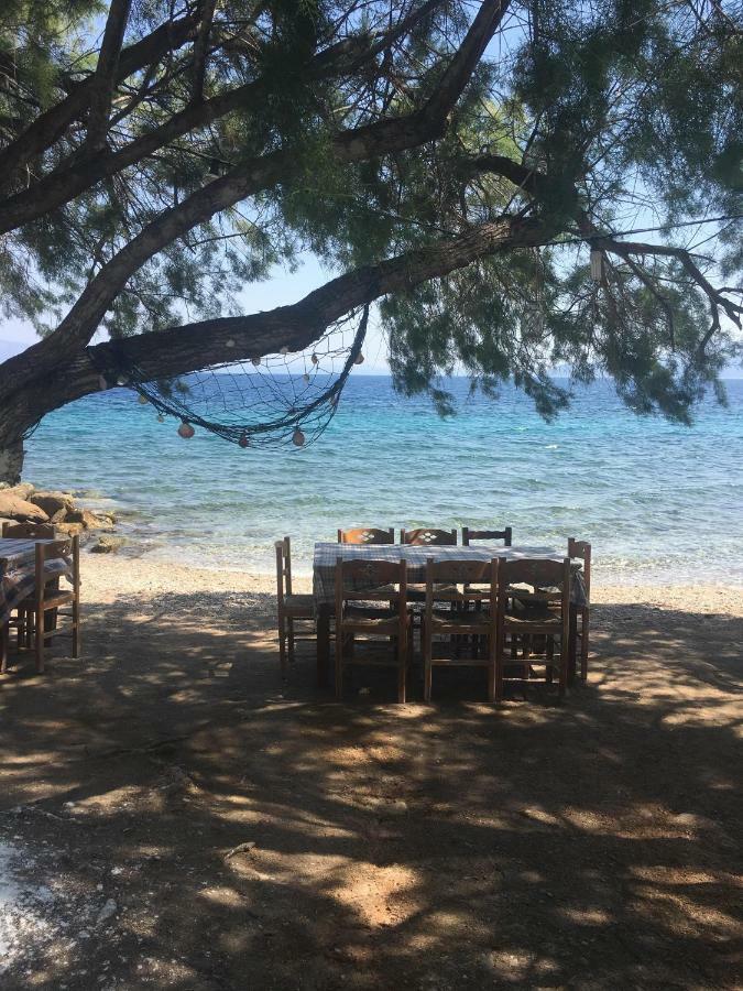Alkyon - Dreamy 3br, Pool & Bbq Next To Varnavas Grammatiko